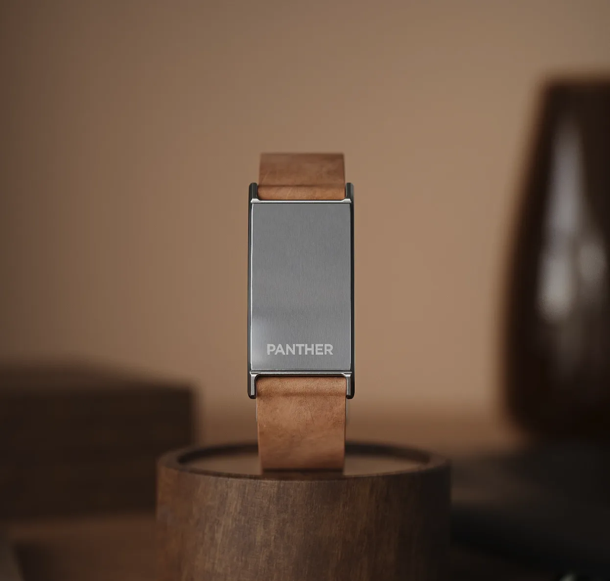 Panther Eclipse on wooden display dock