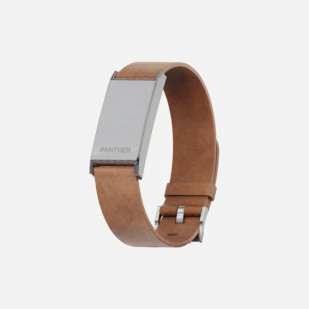 Panther Eclipse Brushed face on Saddle Brown Leather band in a premium 3D isometric view